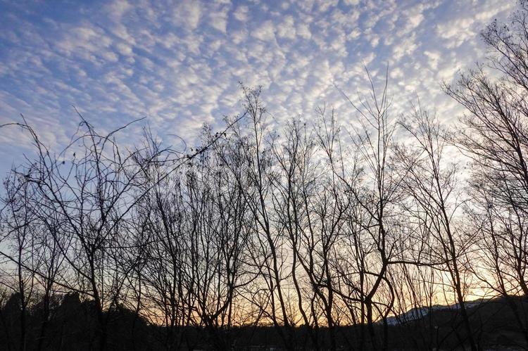 シルエットと夕方 夕日,空,夕暮れ時の写真素材