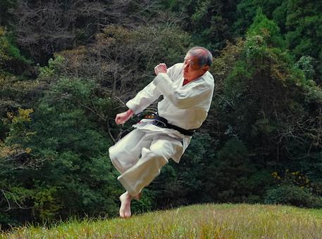 空手（ジャンプ） 空手,形,人の写真素材