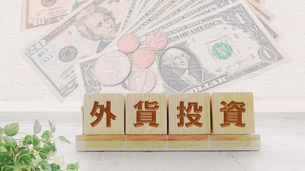 外貨投資2 外貨投資2の写真