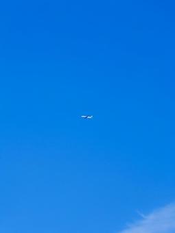 飛行機 飛行機 飛行機,空,青空の写真素材