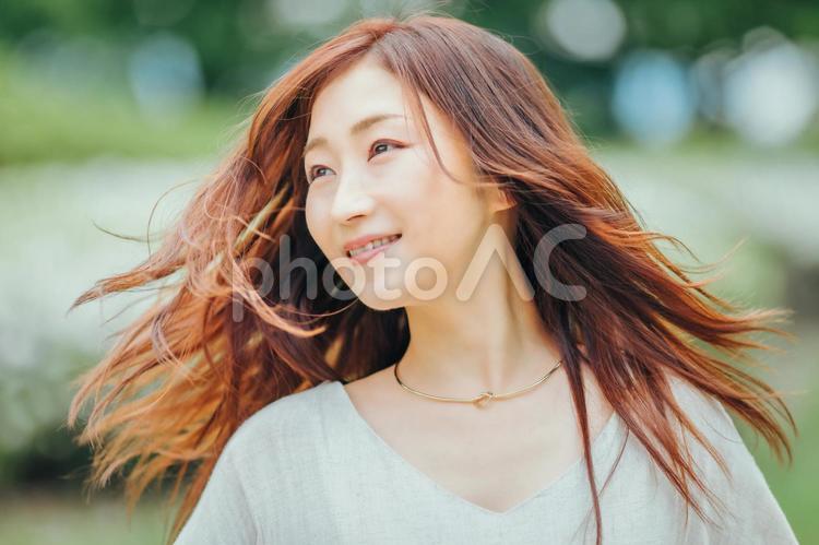 美容のイメージ 美容,女性,ヘアケアの写真素材