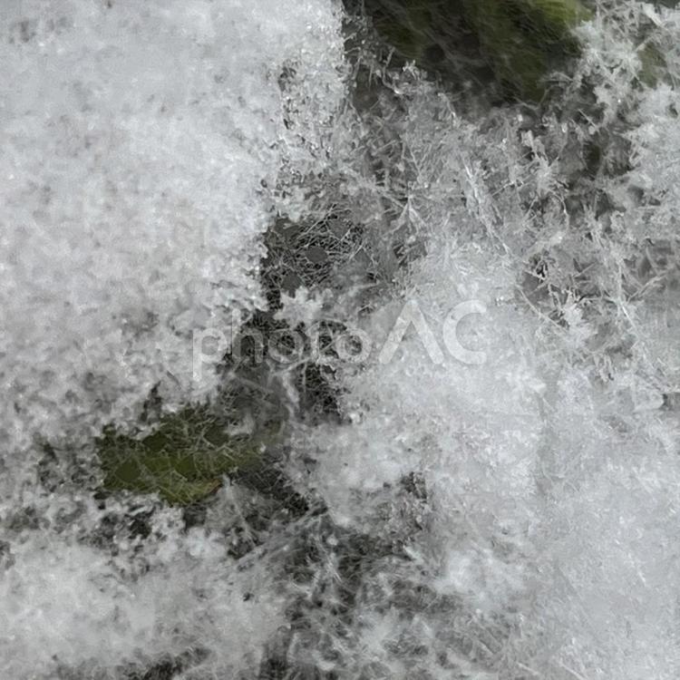 雪の結晶 雪の結晶,六角形,自然の写真素材