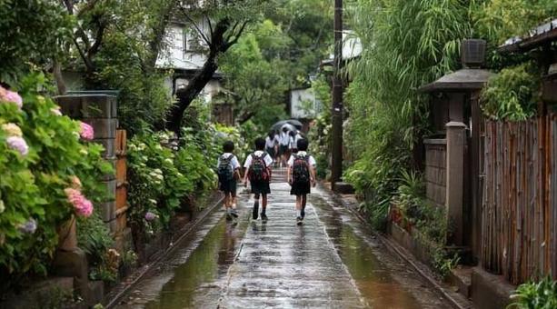 夏の雨上がりの通学路 夏の雨上がりの通学路の写真