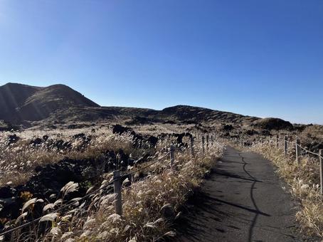 大島三原山山頂のススキ風景 大島,三原山,山頂の写真素材