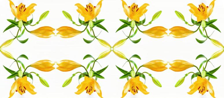黄色いユリの花柄素材 黄色いユリの花柄素材の写真