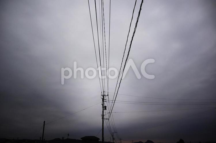 見上げた空に電柱と電線 電線,電気,電柱の写真素材