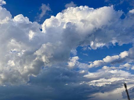 【空の写真】秋空 秋空,空,雲の写真素材