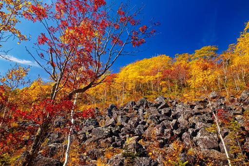 千畳くずれと紅葉 千畳くずれと紅葉 千畳くずれ,紅葉,然別の写真素材