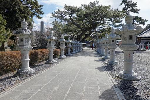 参道 参道の写真