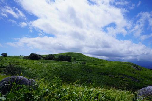 北九州 平尾台の風景 北九州 平尾台の風景の写真