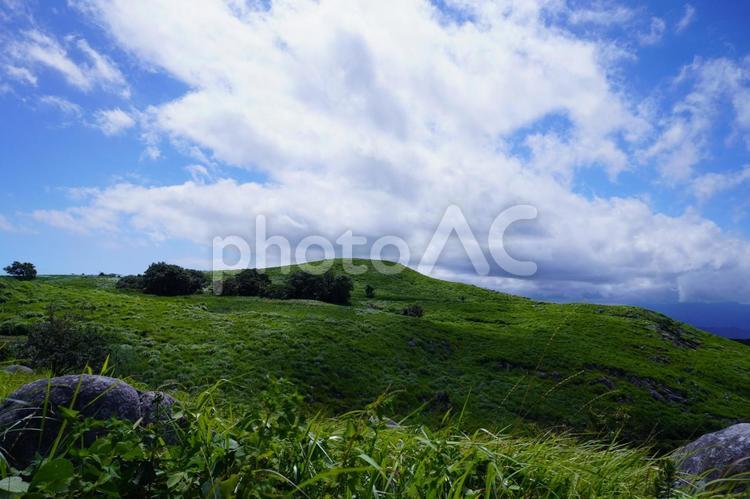 北九州　平尾台の風景 自然,平尾台,風景の写真素材