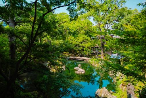 【和歌山】和歌山城 2025 【和歌山】和歌山城 2025の写真