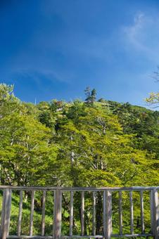 大台ヶ原の風景 大台ヶ原の風景 大蛇嵓,断崖絶壁,正木ヶ原の写真素材