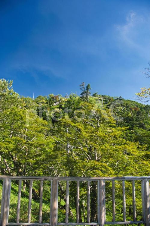 大台ヶ原の風景 大蛇嵓,断崖絶壁,正木ヶ原の写真素材