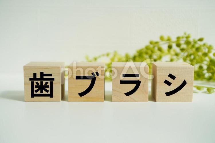 木製ブロックに『歯ブラシ』の文字 歯ブラシ,歯磨き,歯科の写真素材