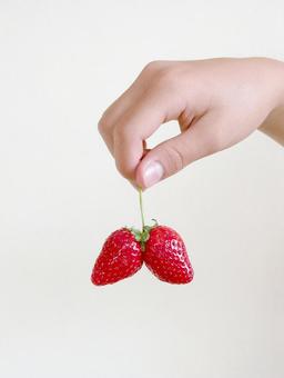 ２つのイチゴ イチゴ,いちご狩り,果物狩りの写真素材