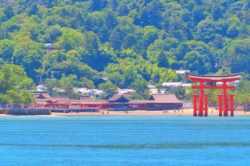 日本三景安芸の宮島の大鳥居と厳島神社 日本三景安芸の宮島の大鳥居と厳島神社 宮島,厳島神社,大鳥居の写真素材