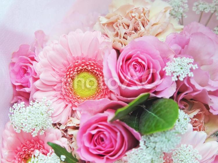 大輪のガーベラとバラのの花束 ガーベラ,薔薇,バラの写真素材