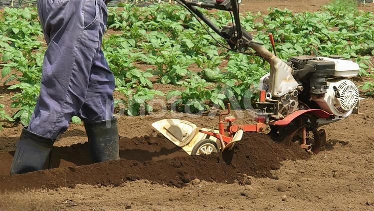 畑農地を耕す風景　耕運機 ミニトラクター 畑,野菜,農地の写真素材