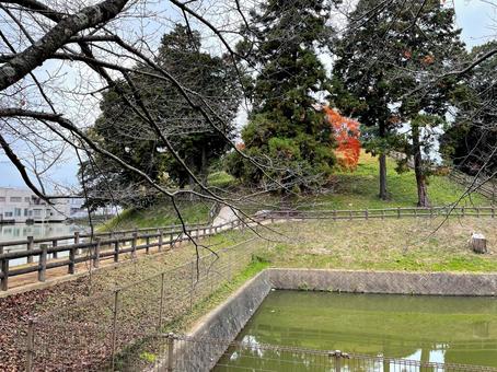 天理市にある鏡で有名な黒塚古墳 古墳,奈良,卑弥呼の写真素材