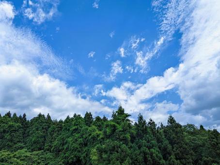 Photo, blue sky, white cloud, woods, 