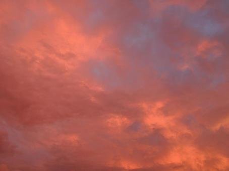 ピンクの空 ピンクの空の写真