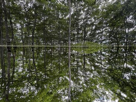 Photo, kuki shrine, mirror, reversal, 