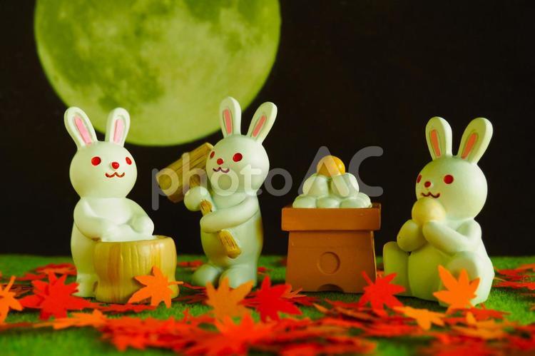 お月見の夜に餅つきをするウサギたち 十五夜,お団子,うさぎの写真素材