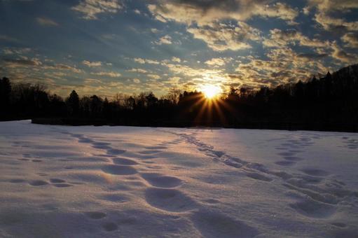 雪原 雪原 スペース,余白,素材の写真素材