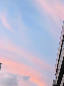 夕焼け 夕焼けの写真