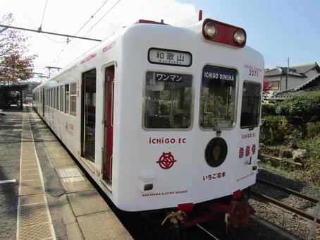 いちご電車 いちご,電車,和歌山の写真素材
