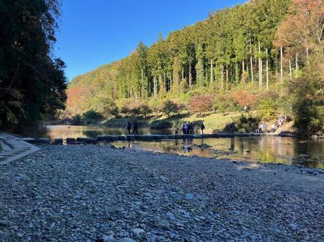 嵐山渓谷の飛び石風景 嵐山渓谷の飛び石風景 嵐山渓谷,飛び石,風景の写真素材