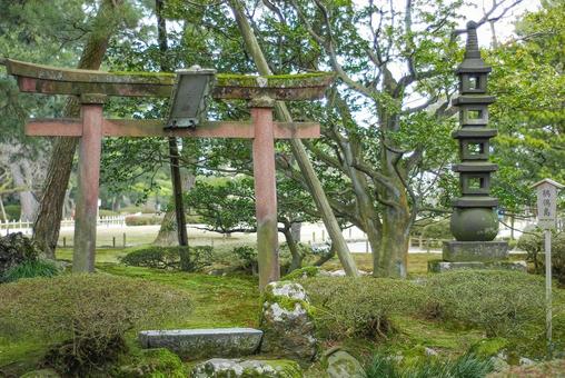 兼六園 鶺鴒島の鳥居と石塔（石川） 兼六園,鶺鴒島,鳥居の写真素材