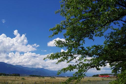 夏の空港 空港,松本空港,松本の写真素材
