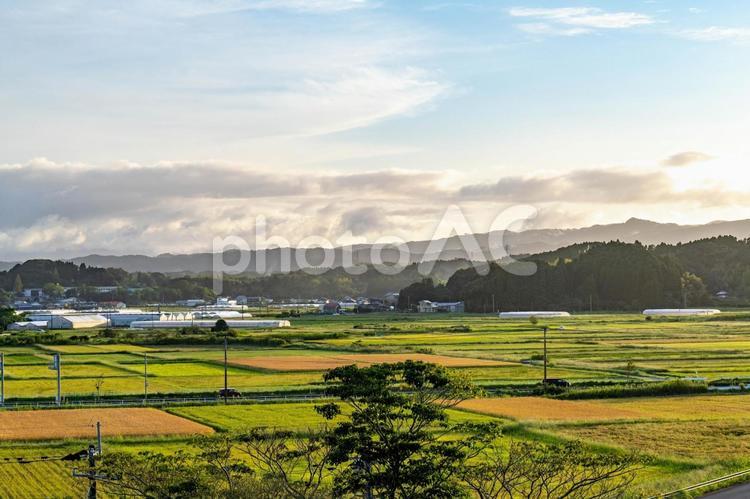 田舎の風景 畑,町並み,木の写真素材