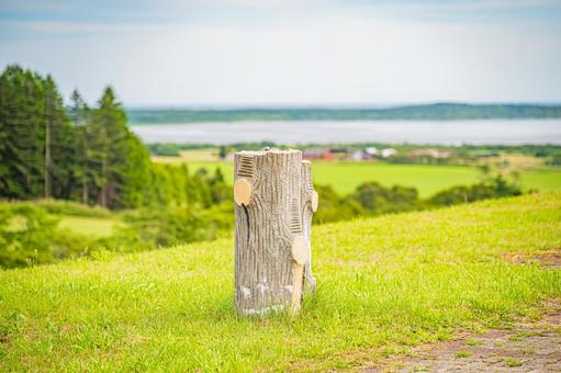 北海道 クローバの丘 北海道 クローバの丘の写真