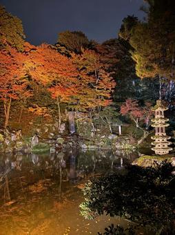 兼六園と紅葉 兼六園と紅葉 兼六園,紅葉,金沢の写真素材