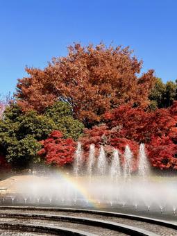 虹を抱く噴水(秋) 01 噴水,水景施設,紅葉の写真素材
