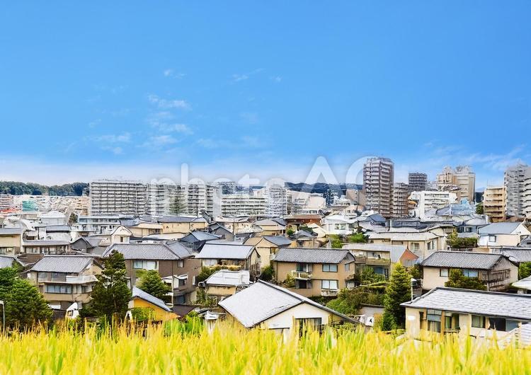 戸建住宅とマンション 家,戸建て,マンションの写真素材