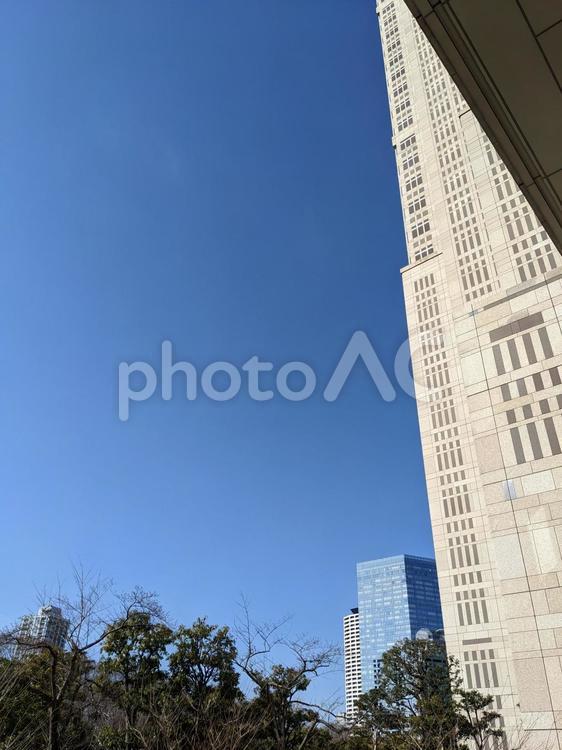 晴れの日の都会の風景 風景,道路,道の写真素材