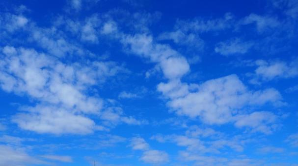 秋の空・青空&ふわふわのわた雲 秋の空・青空&ふわふわのわた雲の写真