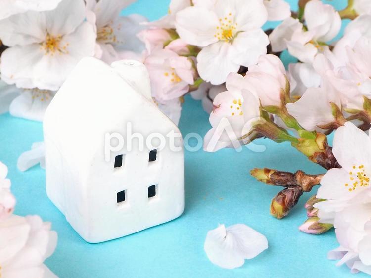 家と桜 新生活イメージ 新生活,マイホーム,引っ越しの写真素材