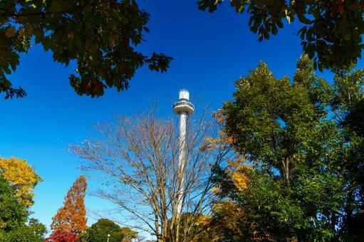 西武ゆうえんち、富士見展望塔 多摩湖,西武ゆうえんち,富士見展望塔の写真素材