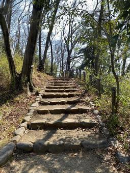 Photo, stone steps, stage, shade of tree, 