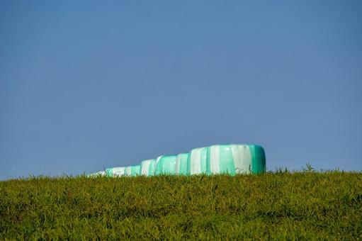 牧草地に並ぶ緑色の牧草ロール 牧草地に並ぶ緑色の牧草ロール 牧草ロール,緑色,青空の写真素材