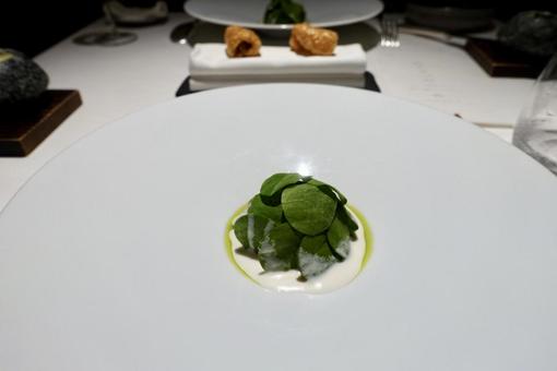 野菜 野菜の写真