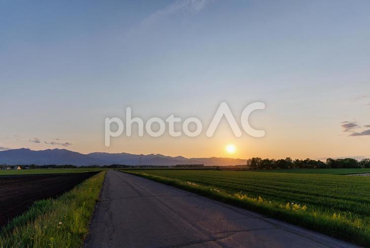 夕焼けと十勝の畑 夕焼けと十勝の畑,夕焼け,道の写真素材