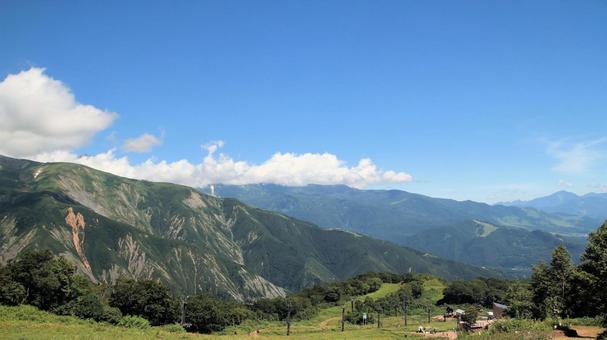 白馬五竜高山植物園より八方尾根を望む 白馬五竜高山植物園より八方尾根を望む 白馬五竜高山植物園,八方尾根,夏山の写真素材