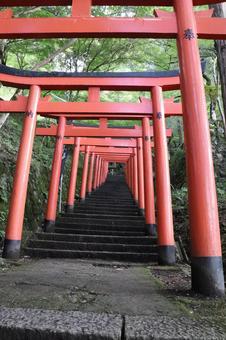 出石城跡　稲荷神社鳥居の写真