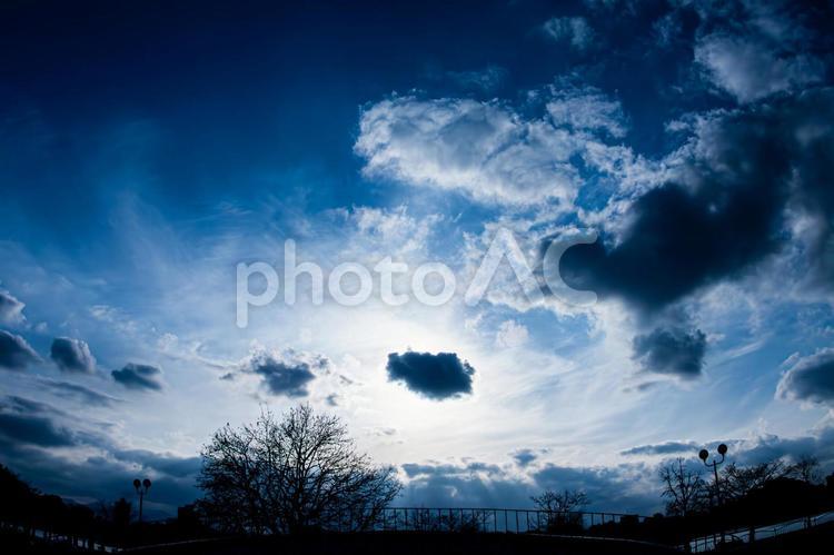青空と光芒と木のシルエット 青空,天使の梯子,光芒の写真素材